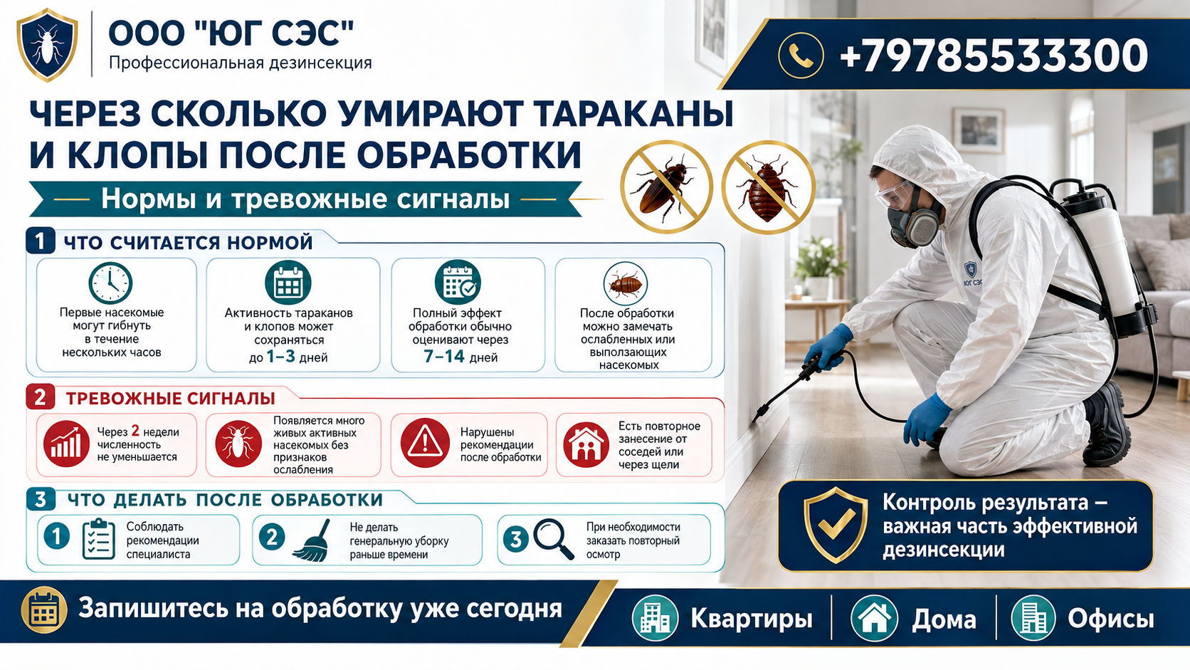 Через сколько умирают тараканы и клопы после обработки | Нормы и тревожные сигналы | ООО «Юг СЭС»